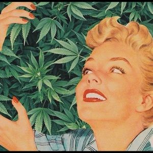 Stoner Sticker Bundle (12 stickers)